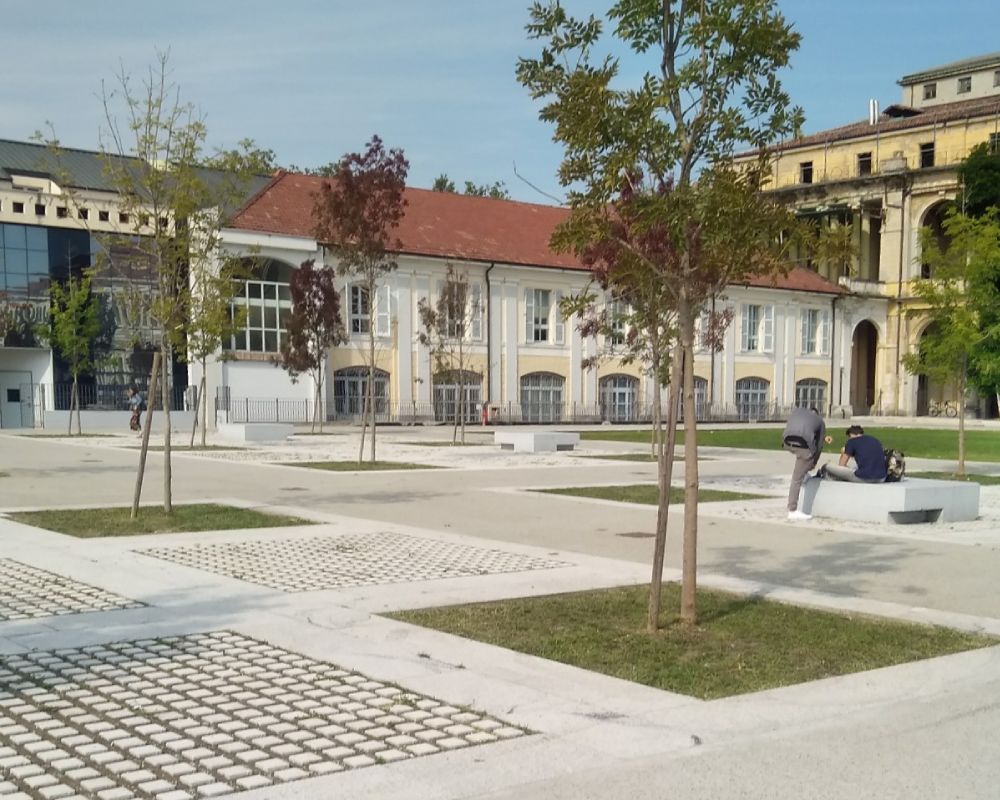 Università degli Studi del Piemonte orientale 