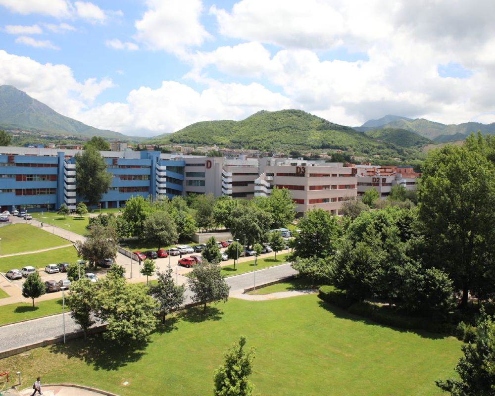 Università degli Studi di Salerno: Corsi di Laurea e Facoltà UniSa