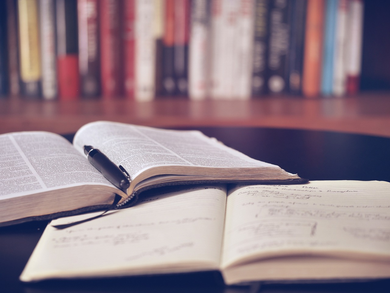 Caro libri: testi scolastici aumentati fino al 15%, scatta l’allarme dei Presidi