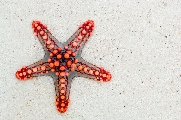 Vacanze estive 2025: il calendario scolastico per regione