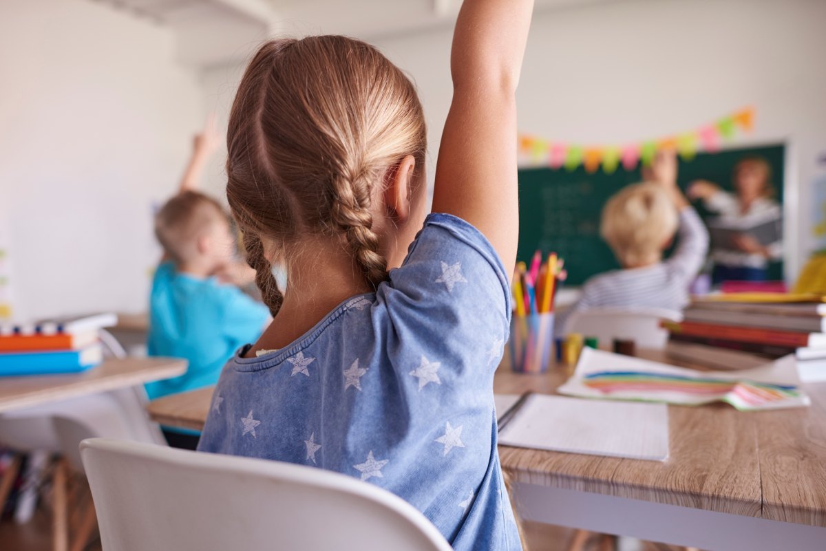 Concorso Docenti 2024 Molise: posti disponibili e classi di concorso