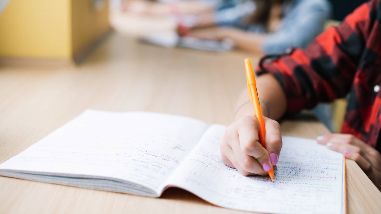 Privacy ed etica scolastica: il caso del compito pubblicato online dal prof