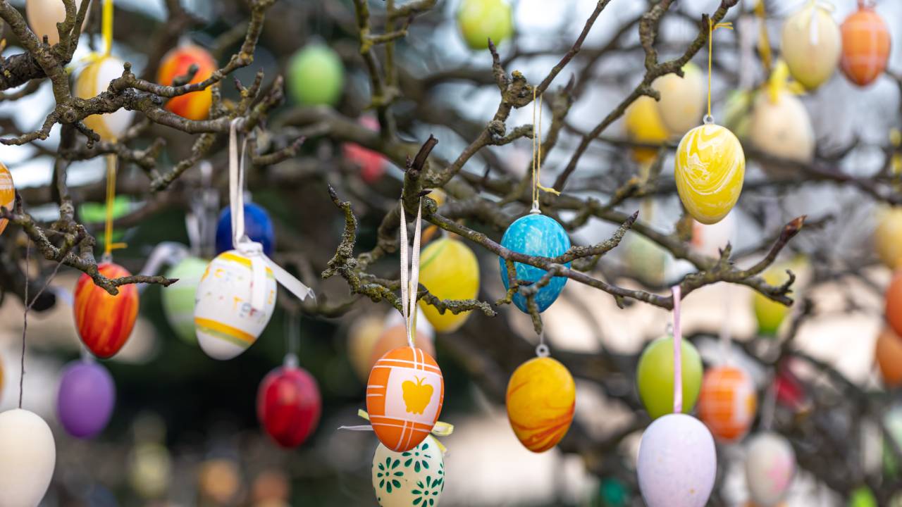Albero di Pasqua fai da te: come realizzarlo e addobbarlo