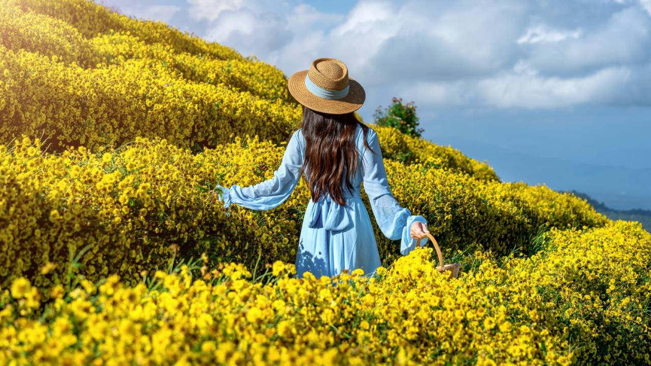 Quando inizia la primavera e quando finisce: tutte le date