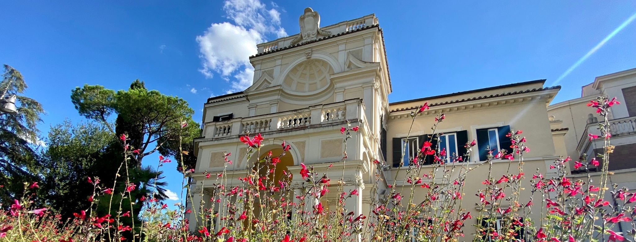 corsi di Laurea LUISS