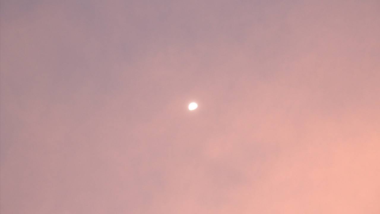 Divina Commedia, Canto 30 Purgatorio: testo, parafrasi e figure retoriche