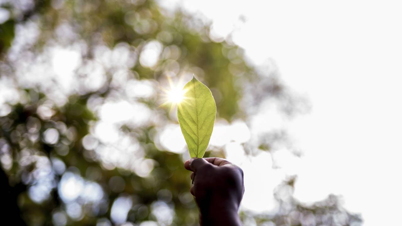 Giornata mondiale dell'ambiente 2025: la lotta contro la plastica e la sfida del futuro