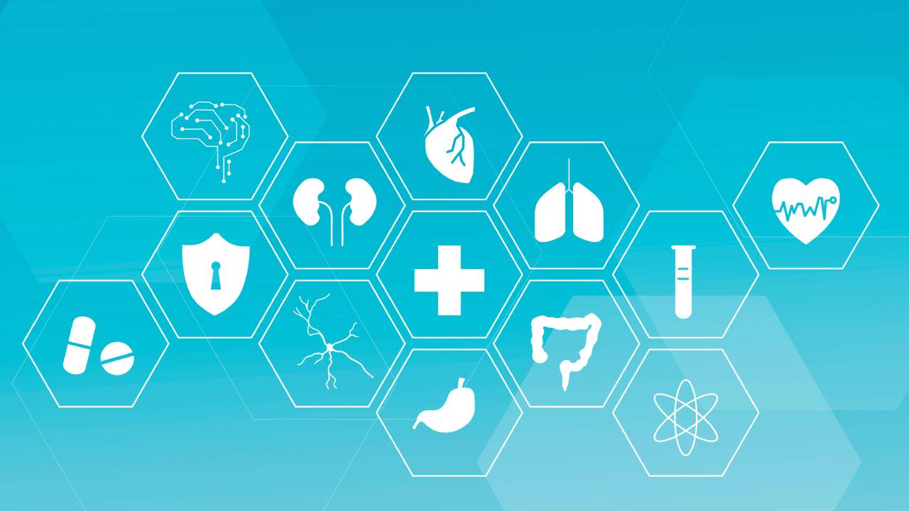 Accesso alla facoltà di Medicina 2026: criteri di frequenza e disparità normative, la denuncia degli studi legali