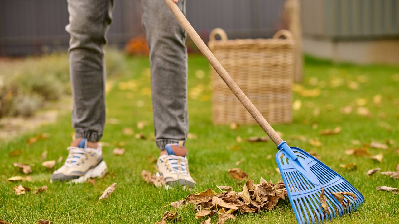 Il regime sanzionatorio per i casi di bullismo: impegno scolastico e pulizia del giardino scolastico
