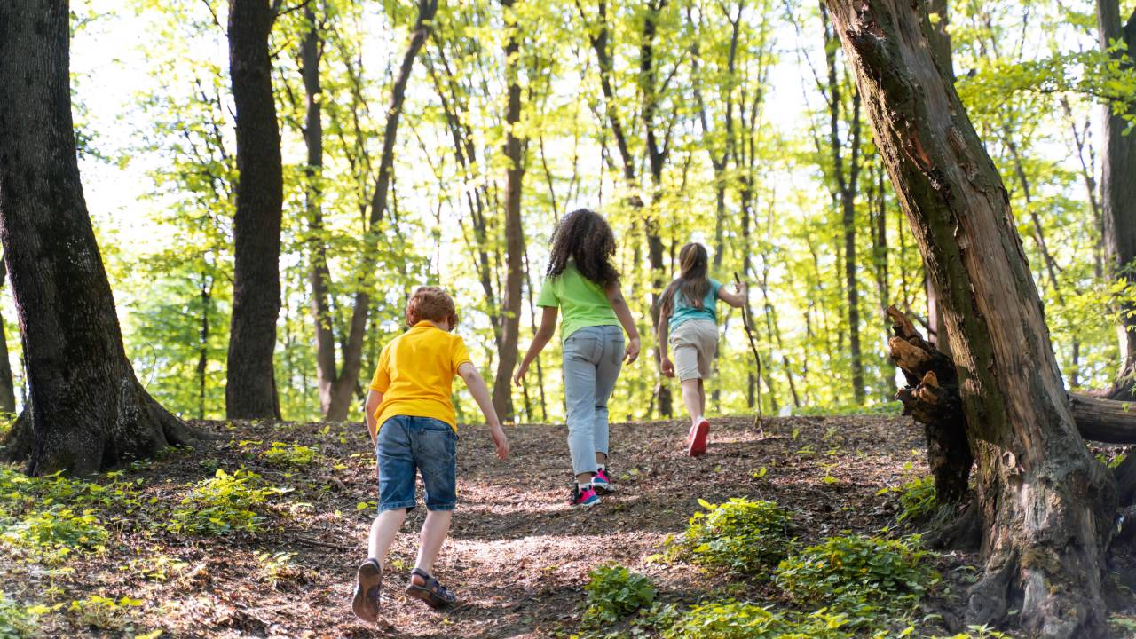 Bambini nel bosco, il tribunale dell'Aquila ordina l'allontanamento: scontro tra istruzione parentale e diritti dell'infanzia
