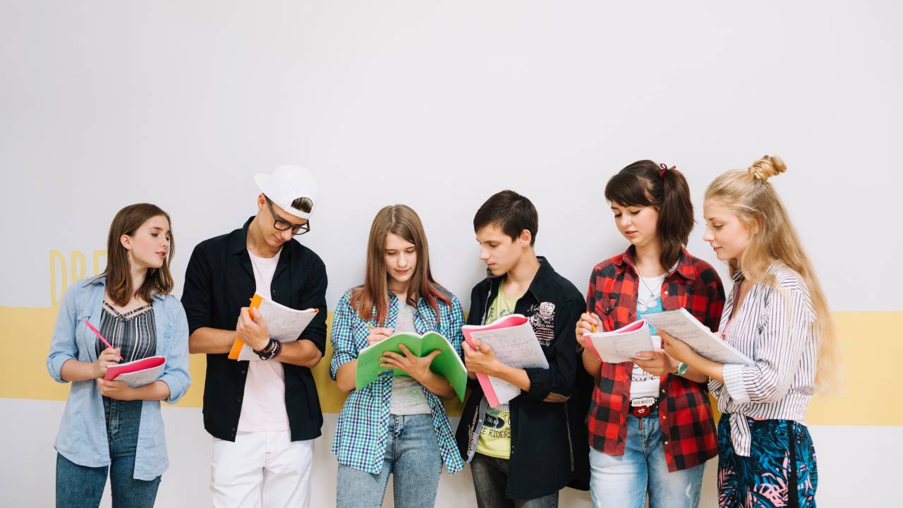 Competenze di base, il Sud arretra in terza media ma recupera alle superiori secondo Istat