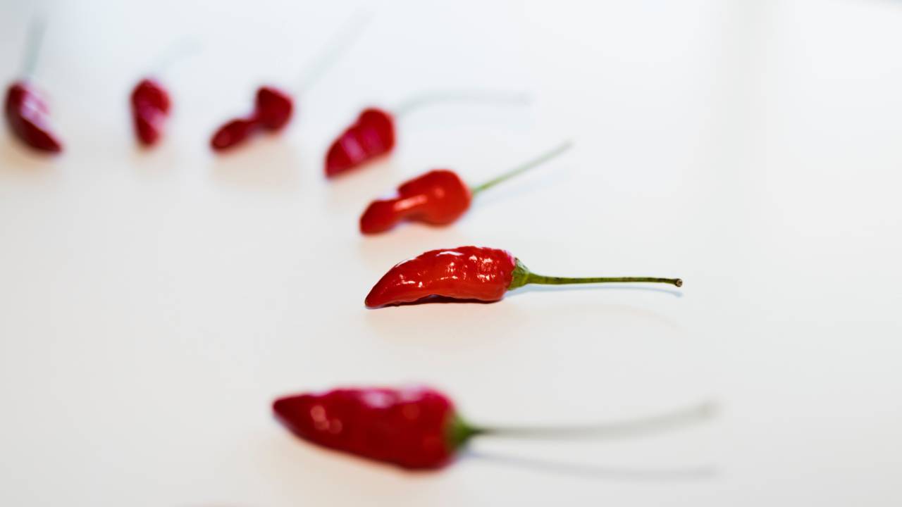 Spray al peperoncino nei condizionatori, evacuato un liceo di Pescara per la seconda volta