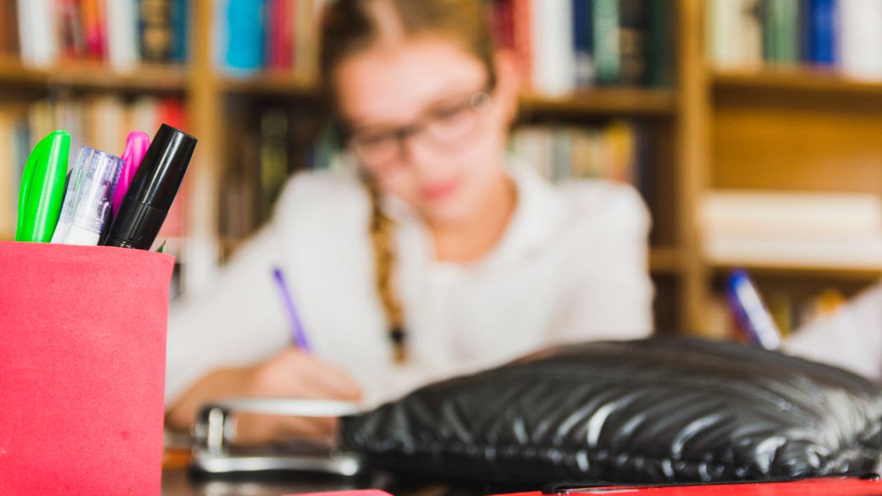 Nuovo indirizzo per infanzia e medie: latino opzionale e storia dell'occidente al centro