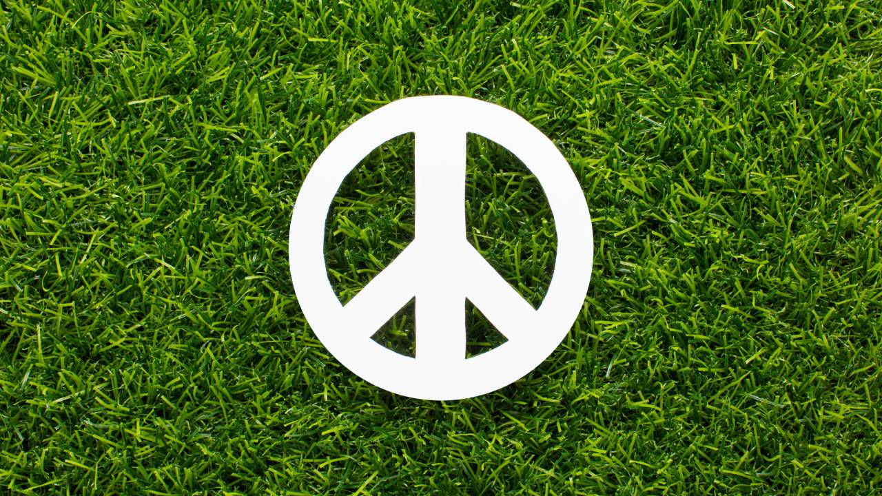 Sapienza hub nazionale per le Scuole di pace: a Roma parte la rete 'Sui passi di Francesco'