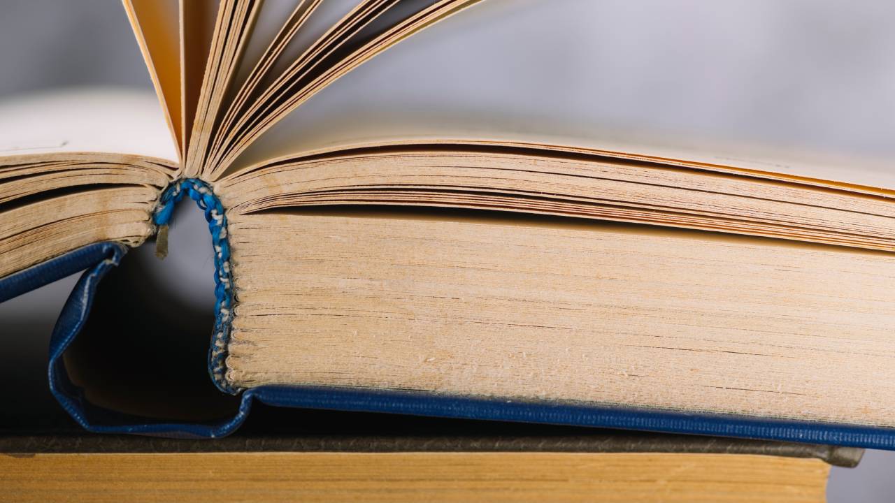 Liceo classico, torna il ginnasio: il ddl Amorese ripristina la denominazione del biennio