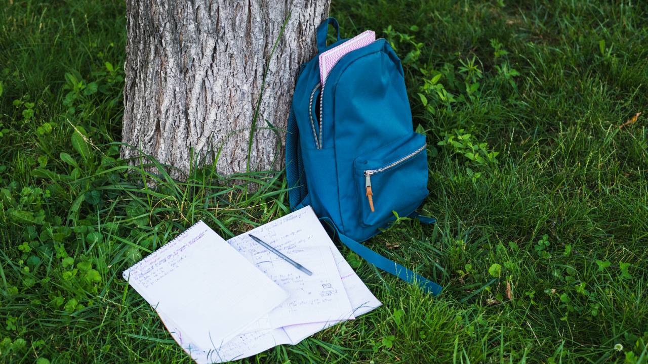 Sedicenne denunciato nel Mantovano: trovate armi nello zaino alla fermata dell'autobus