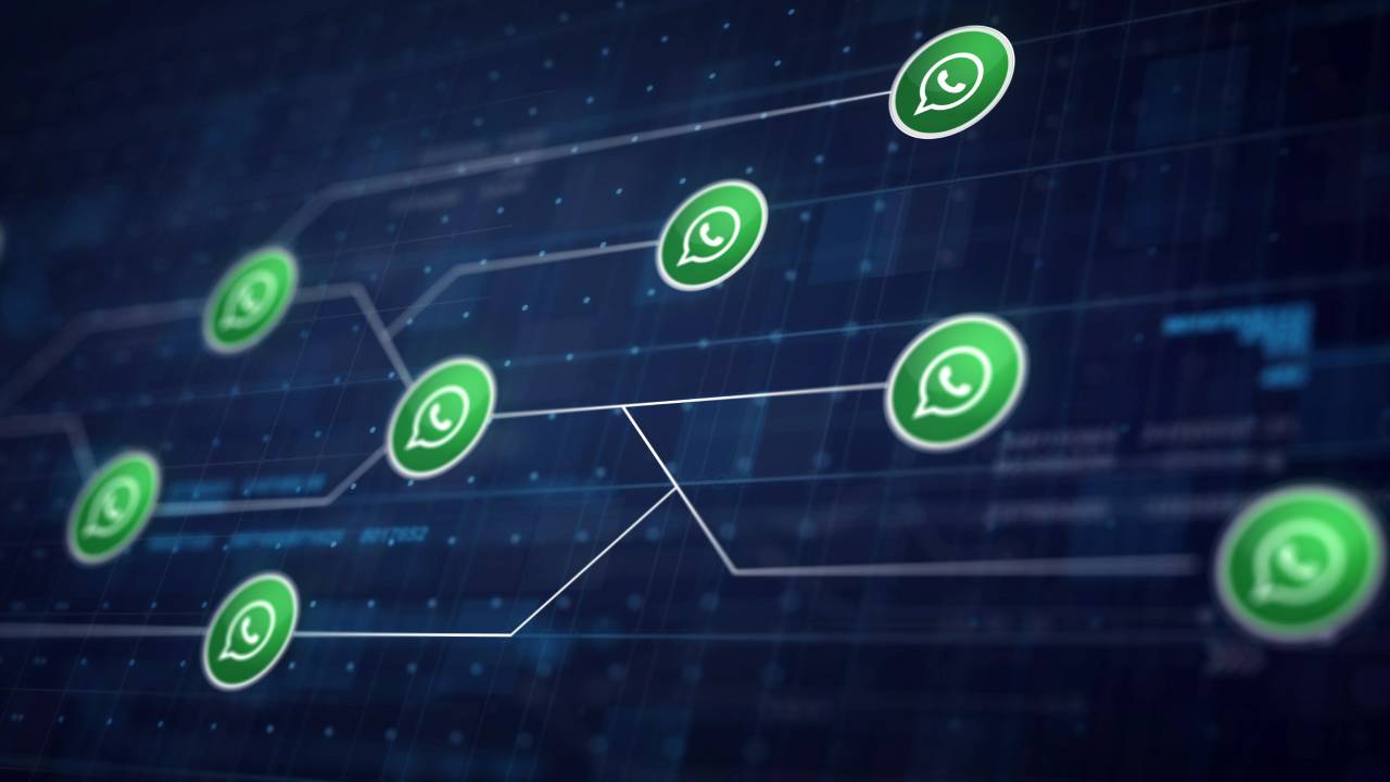 Account WhatsApp under 13 gestiti dai genitori: controlli, limiti e educazione digitale
