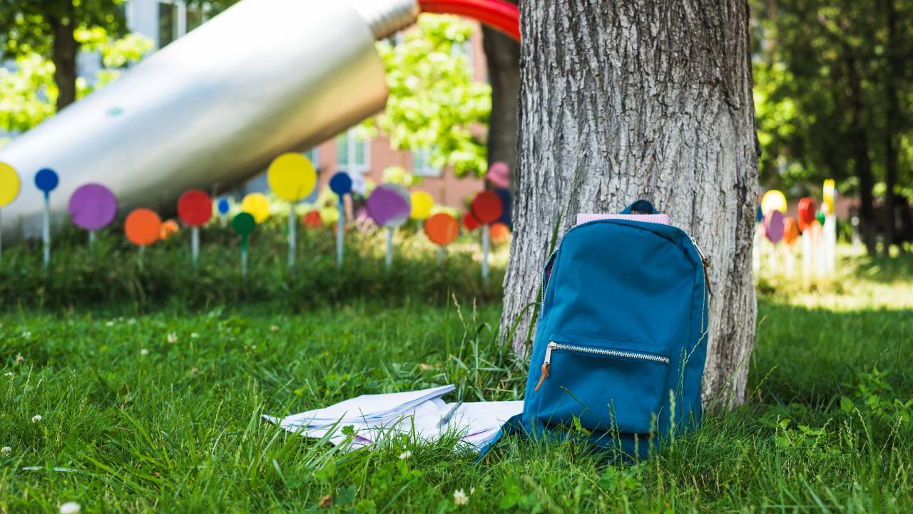 Gite scolastiche, le nuove regole: soglie di affidamento e procedure con il Codice dei Contratti