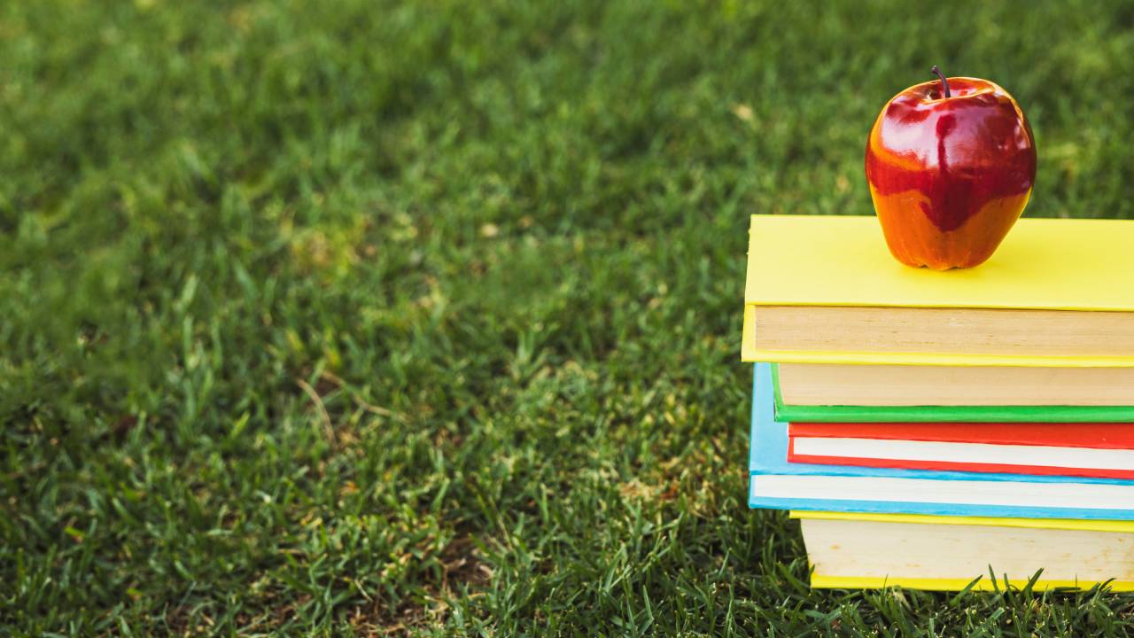 Didattica all'aperto e educazione civica, il MIM stanzia 30 milioni alle scuole