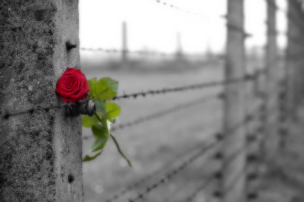 27 gennaio giornata memoria