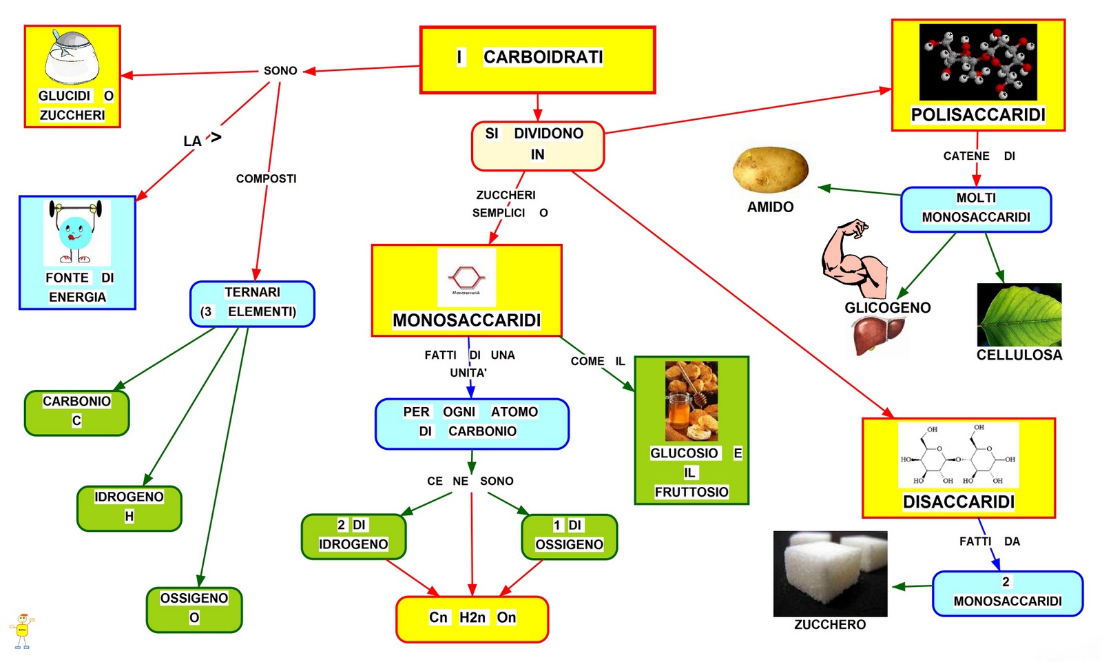 I carboidrati: mappa concettuale