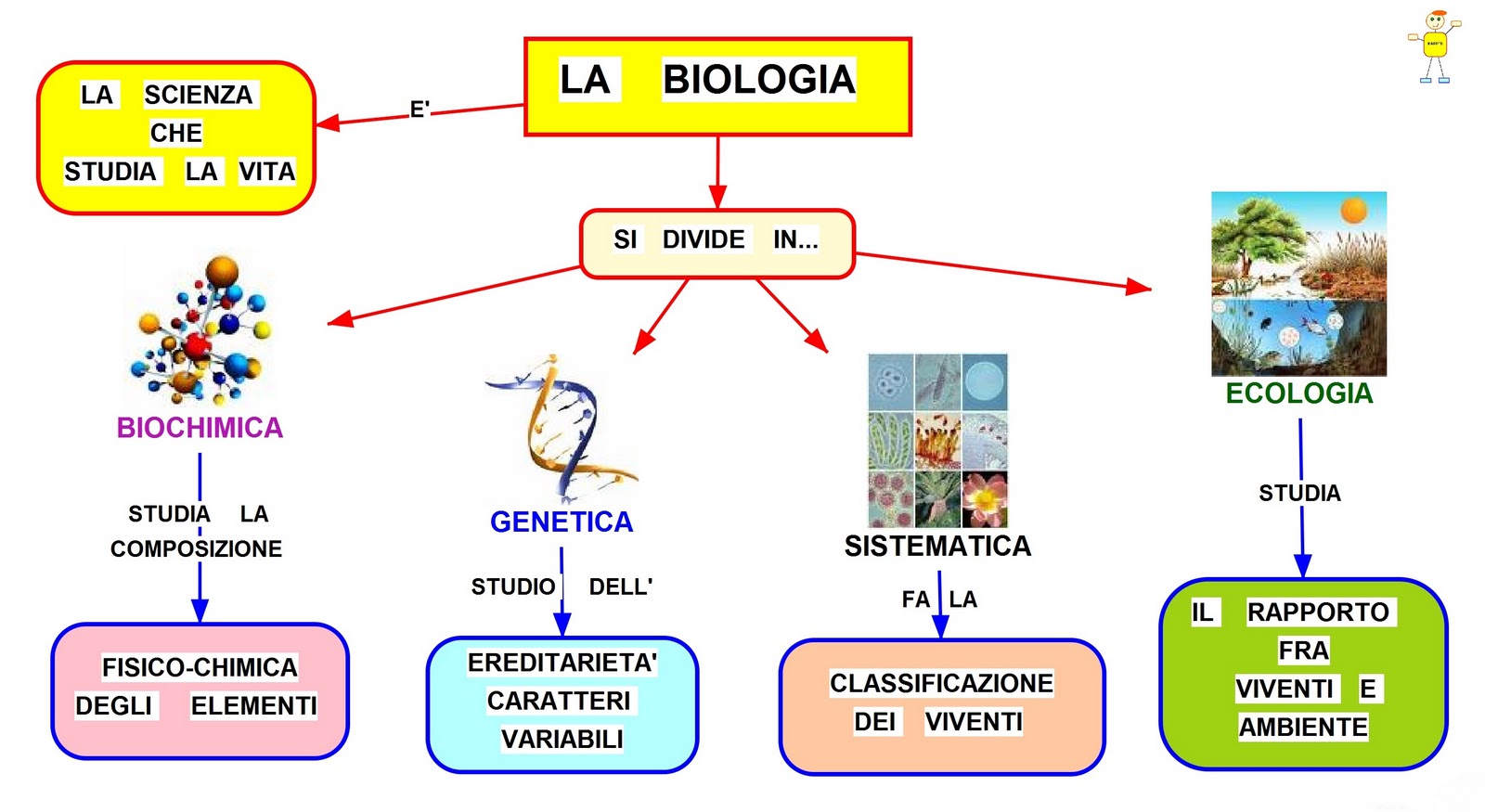 La biologia mappa concettuale