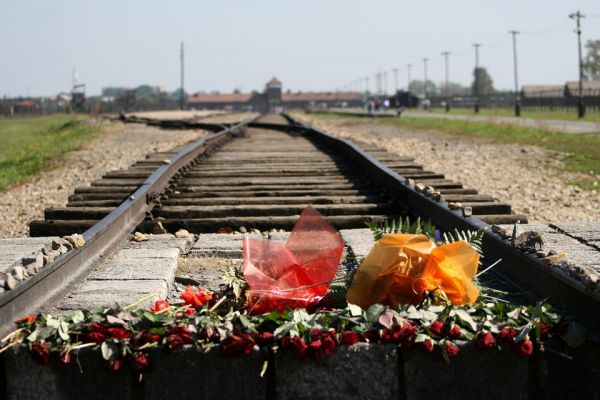 Temi Svolti sulla Giornata della Memoria